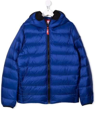 Ai Riders On The Storm Young Kids' Pompom-detail Padded Coat In 蓝色