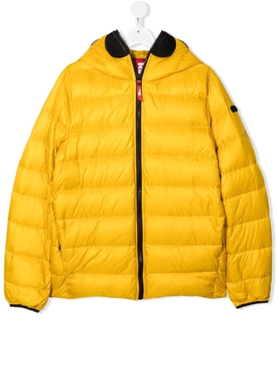 Ai Riders On The Storm Young Kids' Pompom-detail Padded Coat In 黄色