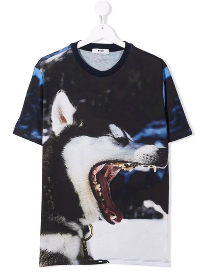 Msgm Kids' Wolf-print T-shirt In 蓝色