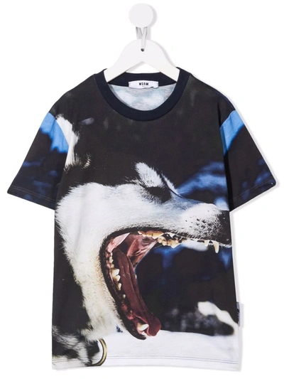 Msgm Wolf-print T-shirt In 黑色