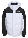 THE NORTH FACE THE NORTH FACE HIMALAYAN DOWN JACKET