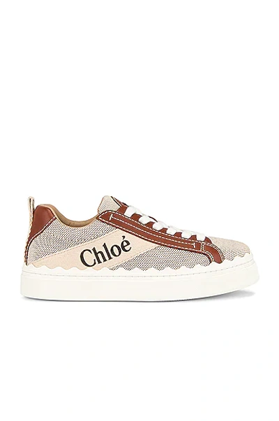 Chloé Lauren Low-top Canvas Sneakers In White Brown