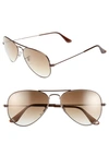 Ray Ban Small Original 55mm Aviator Sunglasses In Brown