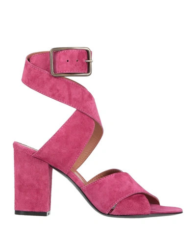 Via Roma 15 Sandals In Fuchsia