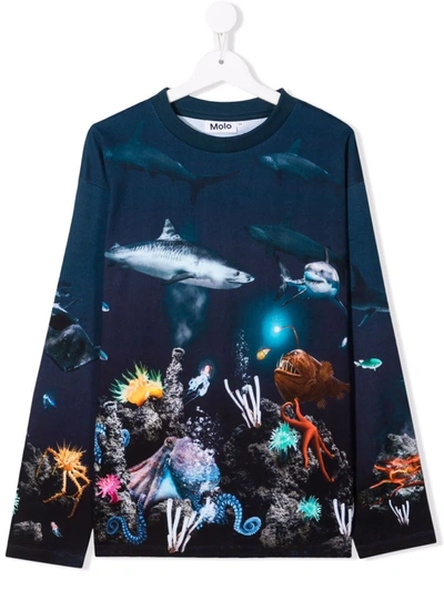 Molo Kids' Aquatic-life Print T-shirt In Blue