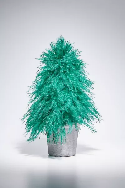 Urban Outfitters Dried Pampas Grass Christmas Tree