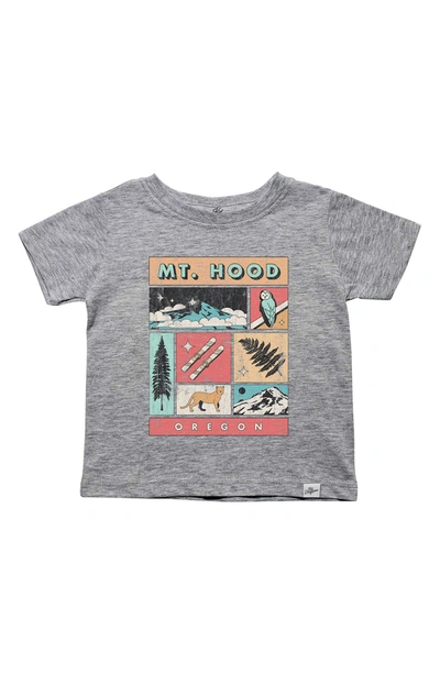 Kid Dangerous Kids' Mount Hood Squares T-shirt In Med Gray