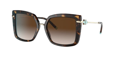 Tiffany & Co . Woman Sunglasses Tf4185 In Brown Gradient
