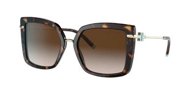 Tiffany & Co . Woman Sunglass Tf4185 In Brown Gradient