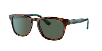 Polo Ralph Lauren Man Sunglasses Ph4170 In Green