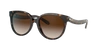 Coach Hc 8321 51203b 55mm Womens Round Sunglasses In Brown Gradient