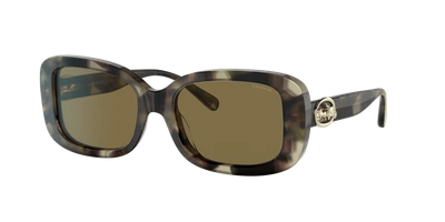 Coach Woman Sunglasses Hc8330 C6186 In Dark Brown Solid
