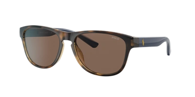 Polo Ralph Lauren Unisex Sunglass Ph4180u In Brown