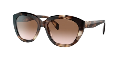 Prada Brown Gradient Cat Eye Ladies Sunglasses 0pr 16xs 07r0a656