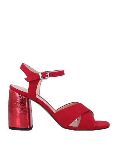 Pollini Sandals In Red