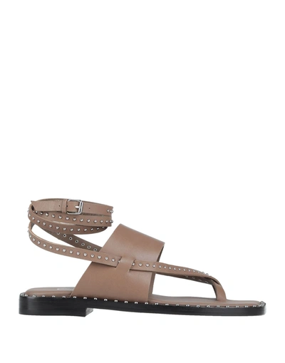 Ash Toe Strap Sandals In Beige