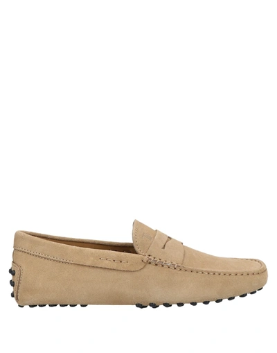 Tod's Loafers In Khaki