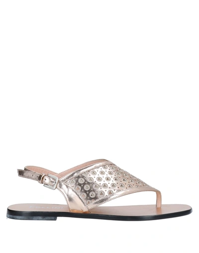 Pollini Toe Strap Sandals In Rose Gold