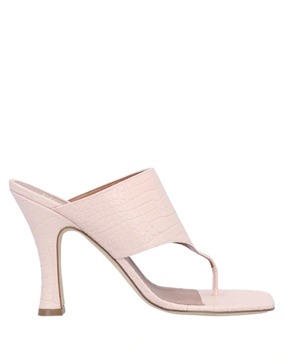 Paris Texas Toe Strap Sandals In Pink