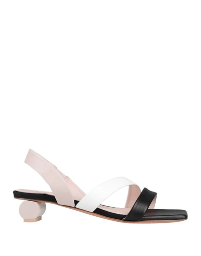 Anna Baiguera Sandals In Black