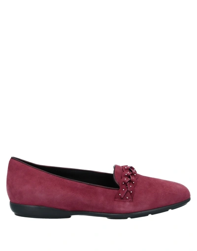 Geox Loafers In Maroon