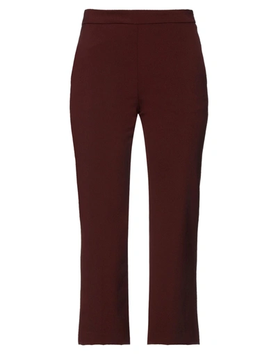 Maliparmi Pants In Brown