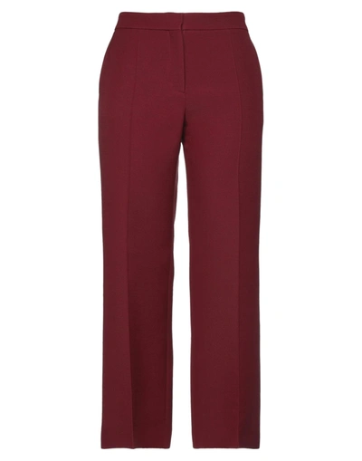 Valentino Pants In Maroon