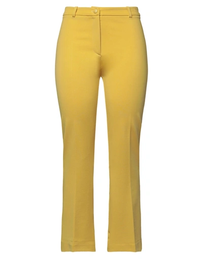 Pinko Pants In Yellow