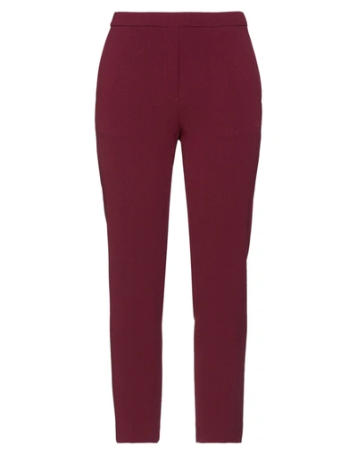 Theory Pants In Red