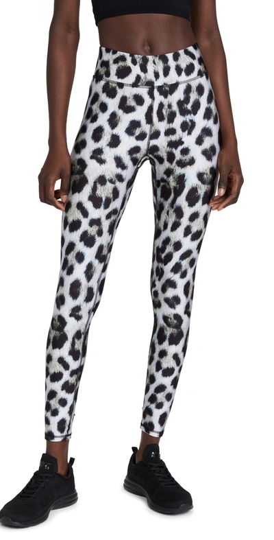 Terez Tall Band Leggings