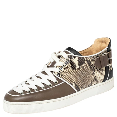 Pre-owned Christian Louboutin Multicolor Python And Leather Terence Low Top Trainers Size 42