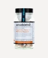 ANATOME COGNITIVE FOCUS + ENERGY SUPPORT CAPSULES,000716583
