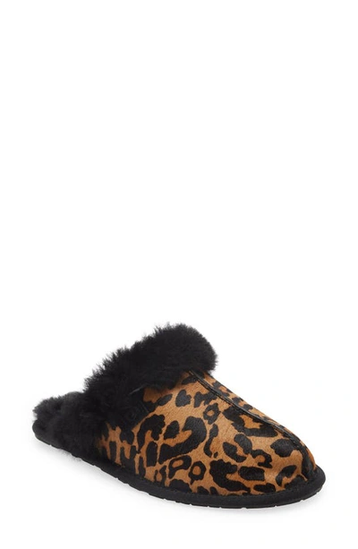 Ugg Scuffette Ii Panther-print Calf Hair Slippers In Black