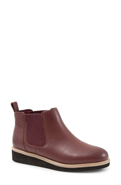 Softwalkr Wildwood Chelsea Boot In Dk Brown