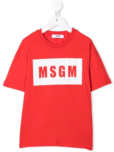 Msgm Kids' Box Logo-print Cotton T-shirt In Rossa