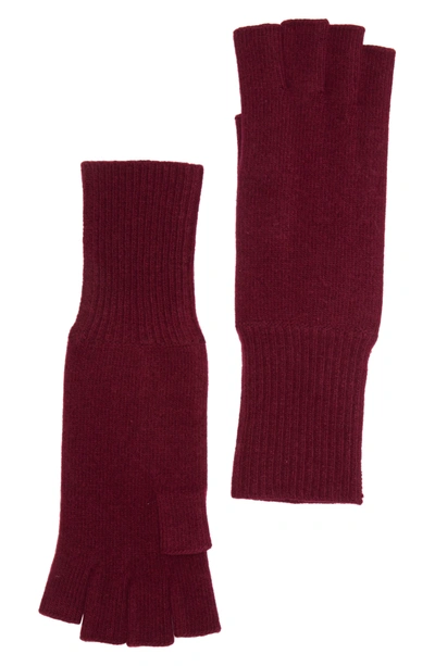 Portolano 12" Cashmere Fingerless Gloves In Rum