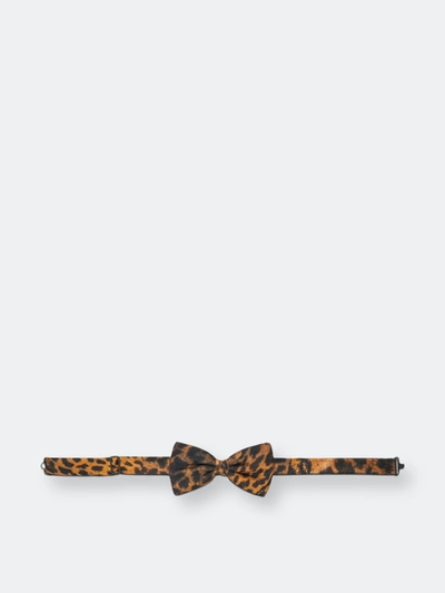 Poan Bow Tie Leopard In Brown