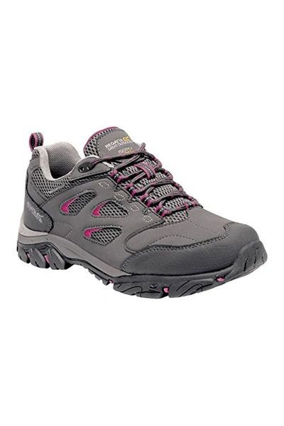 Regatta Womens/ladies Holcombe Iep Low Hiking Boots In Grey