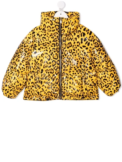Dolce & Gabbana Kids' Leopard Print Patent Down Jacket In Жёлтый,чёрный