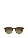 Garrett Leight Clement Sun Saddle Tortoise/pure Brown Sunglasses In Saddle Tortoise