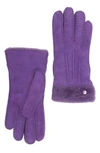 Ugg Classic Tasman Genuine Shearling Gloves In Violet Bloom