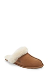 Ugg (r) Scuffette Ii Slipper In Thunder Cloud