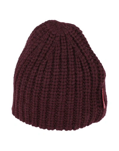 Dsquared2 Hats In Deep Purple