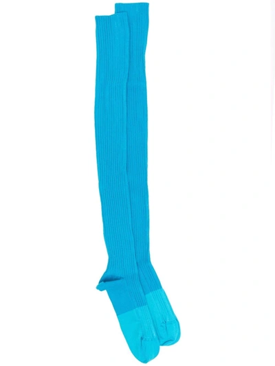 Baserange Thigh-high Ribbed Socks In Blue