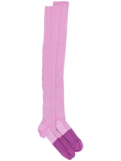 Baserange Thigh-length Socks In 紫色