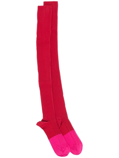 Baserange Thigh-length Socks In 红色