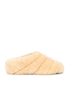 Proenza Schouler Rondo Shearling Slippers In Cream Sheepskin Fur In Light Pastel Yellow