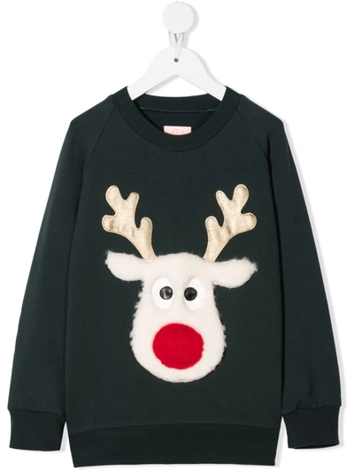 Wauw Capow By Bangbang Kids' Applique Reindeer Jumper In Green