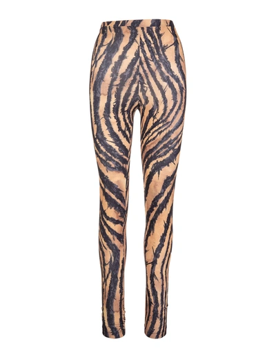 Roberto Cavalli Freedom Print Leggings In Multicolor