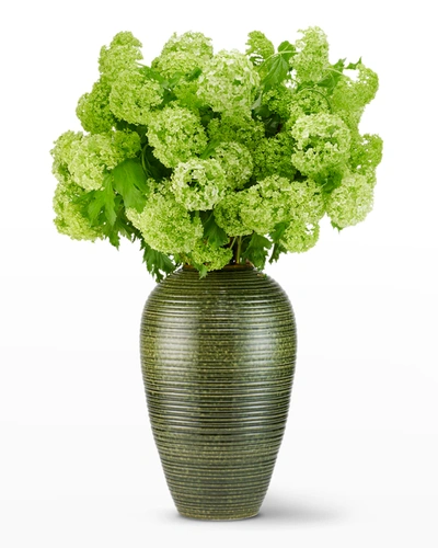 Aerin Calinda Tapered Vase